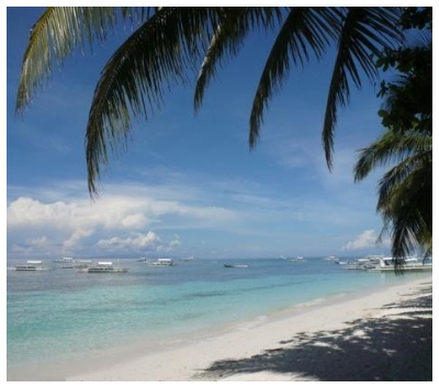 海豚遊蹤→巴里卡薩島大斷層 Balicasag Island浮潛→蜜蜂農場有機餐飲→酒店內自由活動→海藍渡假村自助晚餐→自在夜遊小長灘