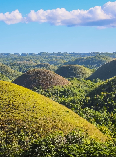 免凌晨拉車也能鯨鯊共游→羅伯河叢林漂流竹筏&遊河午餐→巧克力山&比翼雙飛觀景坪→眼鏡猴→吉他屋酒吧餐廳(加贈3公升啤酒柱一支)