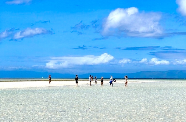 免凌晨拉車也能鯨鯊共游→羅伯河叢林漂流竹筏&遊河午餐→巧克力山&比翼雙飛觀景坪→眼鏡猴→吉他屋酒吧餐廳(加贈3公升啤酒柱一支)