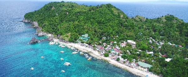 阿波島跳島與海龜共遊→濱海餐廳