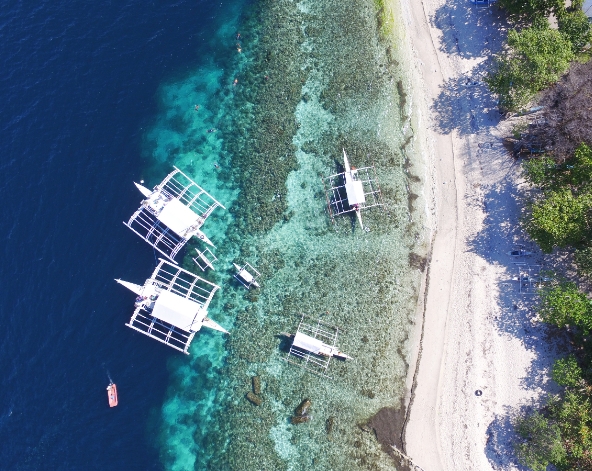 海豚遊蹤→巴里卡薩島大斷層 Balicasag Island浮潛→眼鏡猴海景餐廳→阿莫瑞塔經典舒壓按摩60分鐘→渡假村內享用主廚料理→自由步行夜遊小長灘
