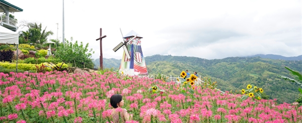 宿霧旅遊推薦-空中花園