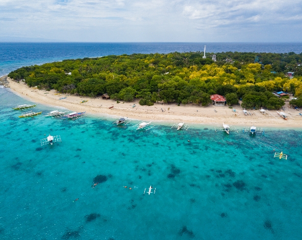 海豚游蹤 /出海浮潛→贈送水肺體驗潛水知識教學(若有興趣可現場自費體驗潛水)→菲式風味餐→渡假村自由活動→漢娜酒店晚餐