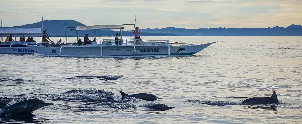 海豚遊蹤&巴里卡薩島大斷層浮潛→贈送水肺體驗潛水知識教學(若有興趣可現場自費體驗潛水)→自由漫步小長灘→出海日落巡弋→正宗義式炸海鮮&燉飯